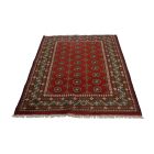 Tapis Oriental Aqcha Bukhara 123x178 tapis fait à la main