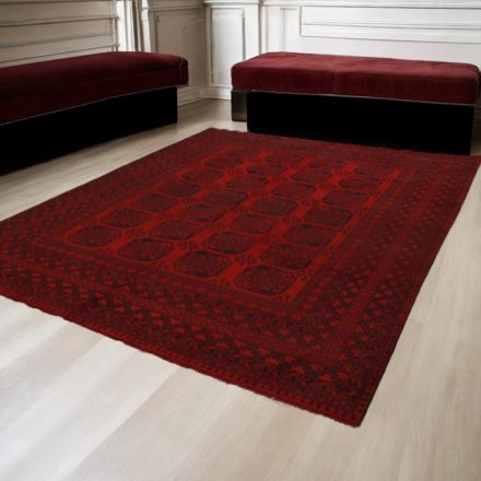 Tapis Oriental Aqcha Pied d'éléphant 250x338 tapis Afghan fait à la main