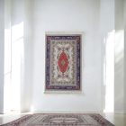 Tapis en soie fait machine SILKEN 70x110 Tapis turc en acrylique