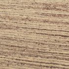 Tapis épais en laine 200x292 tapis uni de salon