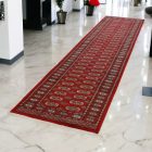 Tapis de couloir Mauri 81x366 tapis de couloir