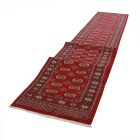 Tapis de couloir Boukhara 80x647 tapis de couloir [price]
