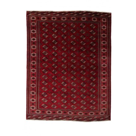 Grand tapis Turkoman 310x400 tapis persan fait main pour le salon
