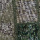 Tapis design vert Vintage 164x245 tapis de salon