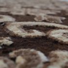 Tapis oriental Berjesta 172x271 tapis salon, tapis chambre