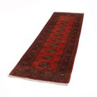 Tapis de couloir Mauri 74x247 tapis de couloir