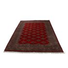 Tapis Pakistan rouge Jaldar 156x248 tapis oriental fait main