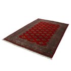 Tapis Pakistan rouge Jaldar 156x248 tapis oriental fait main