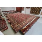 Tapis Kazak 553x416 afghan oriental fait main grand