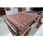 Tapis Kazak 553x416 afghan oriental fait main grand