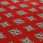 Tapis oriental Mauri 153x245 tapis salon, tapis chambre