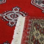 Tapis oriental Mauri 153x245 tapis salon, tapis chambre