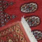 Tapis oriental Mauri 81x119 tapis salon, tapis chambre