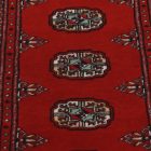 Tapis de couloir Mauri 62x180 tapis de couloir