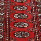 Tapis de couloir Mauri 63x180 tapis de couloir