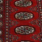 Tapis de couloir Mauri 64x177 tapis de couloir