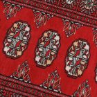 Tapis de couloir Mauri 65x178 tapis de couloir