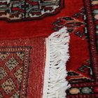 Tapis de couloir Boukhara 64x182 tapis de couloir [price]