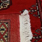 Tapis de couloir Mauri 64x191 tapis de couloir