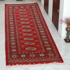 Tapis de couloir Mauri 64x183 tapis de couloir