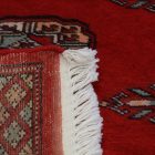 Tapis de couloir Mauri 64x179 tapis de couloir