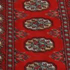 Tapis de couloir Mauri 64x186 tapis de couloir