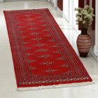 Tapis de couloir Butterfly 63x181 tapis de couloir