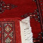 Tapis de couloir Butterfly 63x181 tapis de couloir