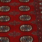 Tapis pakistanais Boukhara 93x155 tapis oriental fait main