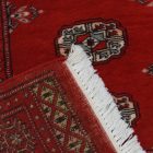 Tapis pakistanais Boukhara 79x124 tapis oriental fait main
