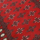 Tapis oriental Butterfly 95x149 tapis salon, tapis chambre