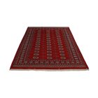 Tapis oriental Mauri 169x223 tapis salon, tapis chambre