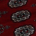 Tapis oriental Mauri 169x223 tapis salon, tapis chambre