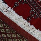 Tapis oriental Mauri 169x223 tapis salon, tapis chambre