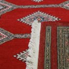 Tapis oriental Jaldar 168x237 tapis salon, tapis chambre