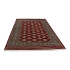 Tapis oriental Jaldar 170x242 tapis salon, tapis chambre