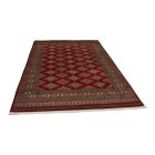 Tapis oriental Jaldar 168x259 tapis salon, tapis chambre