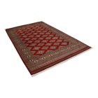 Tapis oriental Jaldar 168x259 tapis salon, tapis chambre