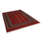 Tapis oriental Jaldar 169x250 tapis salon, tapis chambre