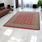 Tapis oriental Jaldar 170x230 tapis salon, tapis chambre