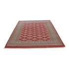 Tapis oriental Jaldar 170x230 tapis salon, tapis chambre