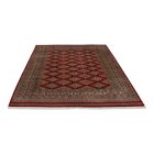 Tapis oriental Jaldar 170x230 tapis salon, tapis chambre