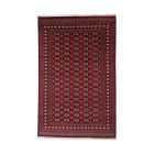 Tapis oriental Mauri 198x308 tapis salon, tapis chambre