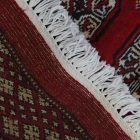 Tapis oriental Mauri 198x308 tapis salon, tapis chambre