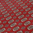 Tapis oriental Mauri 198x316 tapis salon, tapis chambre