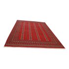Tapis pakistanais Boukhara 220x297 tapis oriental fait main