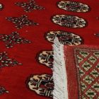 Tapis pakistanais Boukhara 220x297 tapis oriental fait main