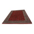 Tapis oriental Jaldar 203x313 tapis salon, tapis chambre