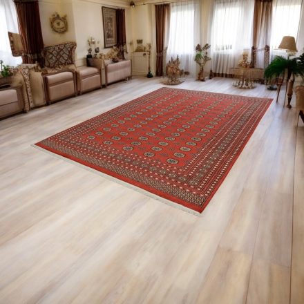 Tapis Boukhara 244x336 bordeaux pakistanais fait main
