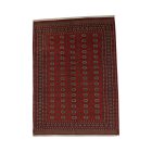 Tapis Boukhara 244x336 bordeaux pakistanais fait main